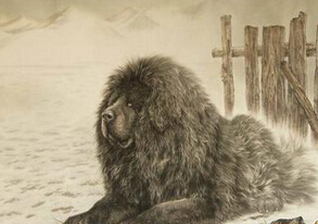 藏獒的眼泪（二）封面