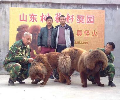 “真怪火”潇洒一炮双响！一口气娶俩美女！封面