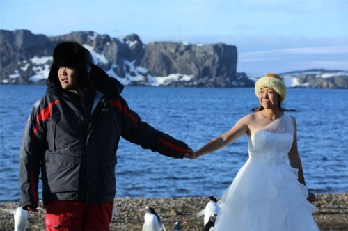 相恋28年南极完婚北极求婚张昕宇梁红的浪漫爱情【十大感人爱情故事】封面