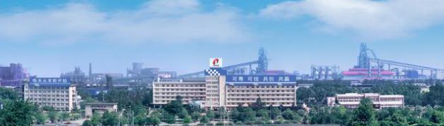强化责任  敢于担当  实现新发展封面
