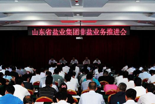 集团公司召开全省非盐业务推进会封面