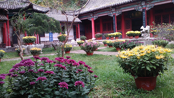 小重山·访青州李清照故居封面