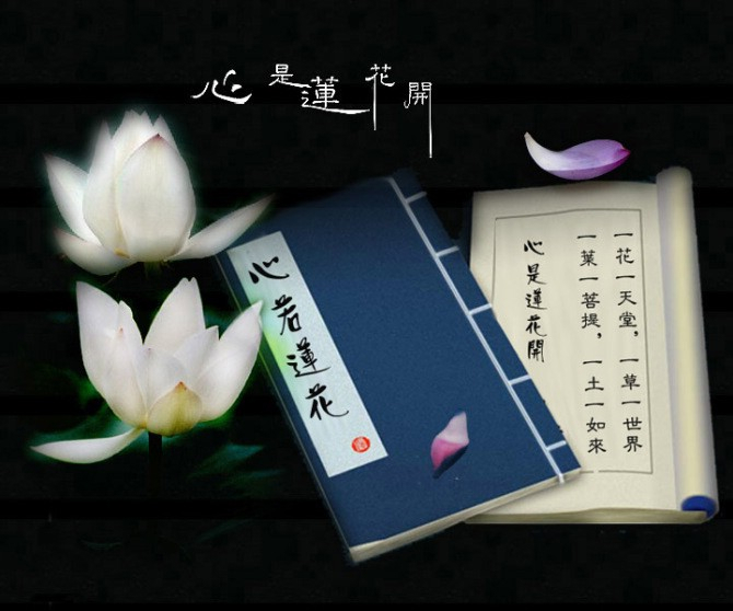 《卜算子》封面