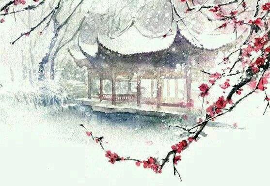 《卜算子》封面