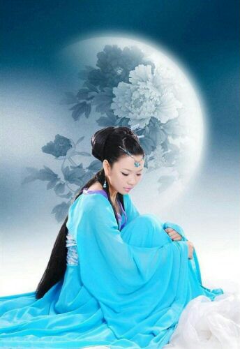 《调笑令》封面