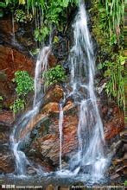 山泉封面