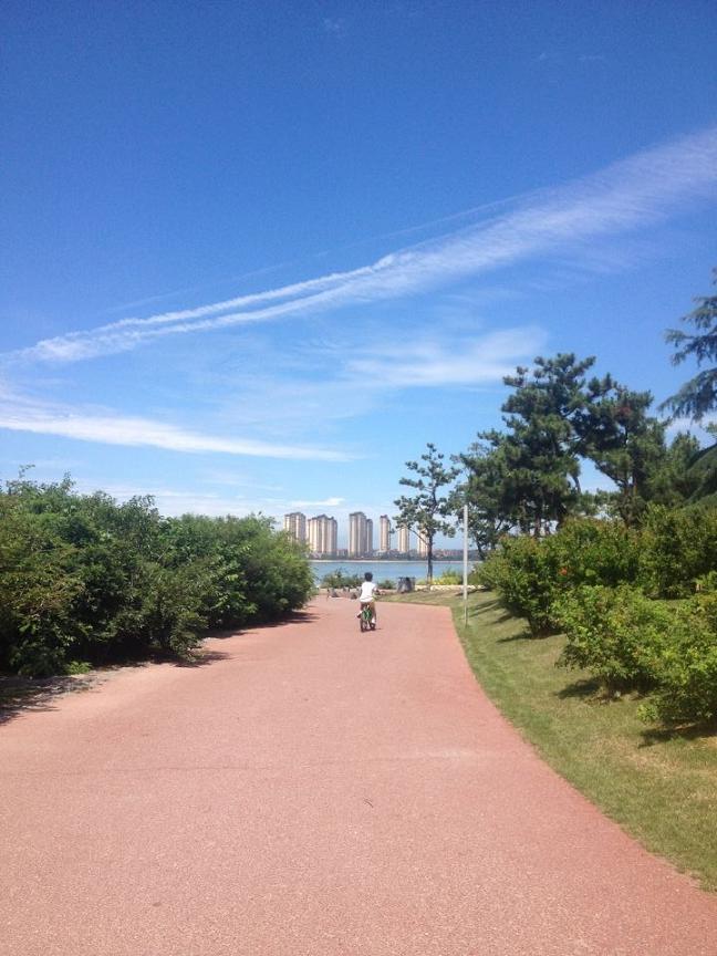 唐岛湾公园夏趣封面
