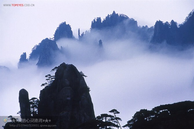 【清雅阁】喜欢一个人静（诗歌·）封面