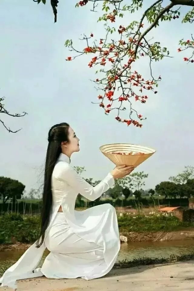 【清雅阁】时光里  那一眼缱倦如梦封面