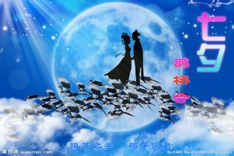 鹊桥会封面