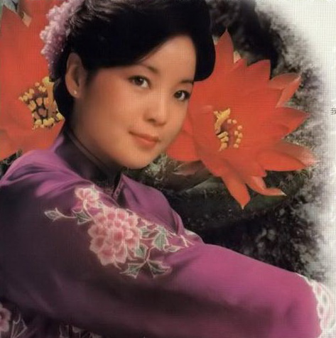 《华灯初上》封面