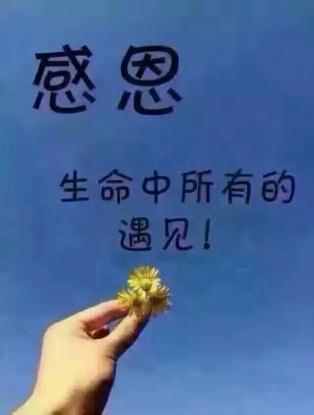 【清雅阁】假如(诗歌)封面