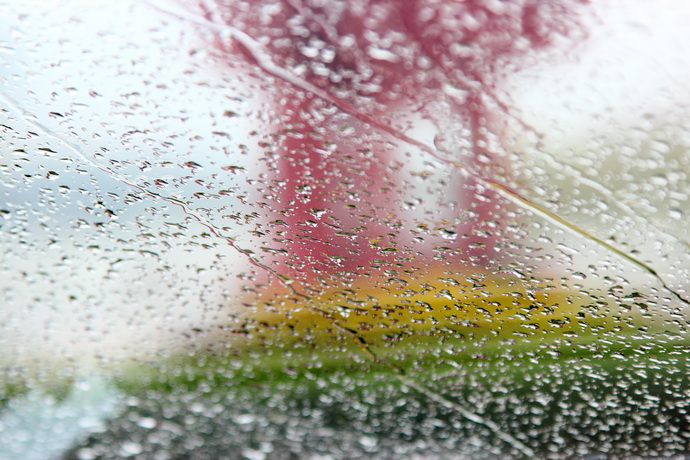 【黎明时的小雨】封面