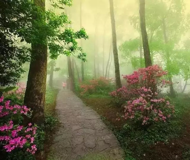 【在开满鲜花的路上】封面