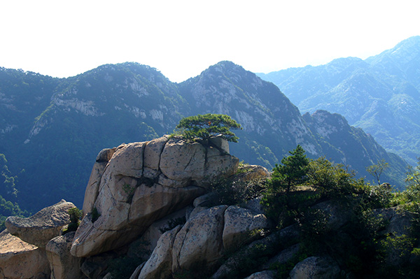 《踏莎行》登蒙山封面