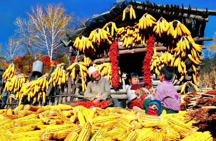 同题诗赛(44-2)《丰收》《师赞》欣赏【自由体诗】封面