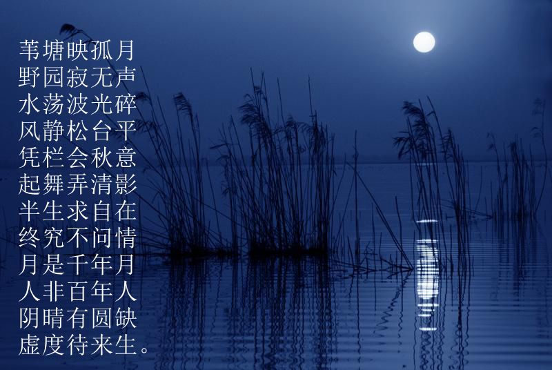苇塘月-纪中秋封面