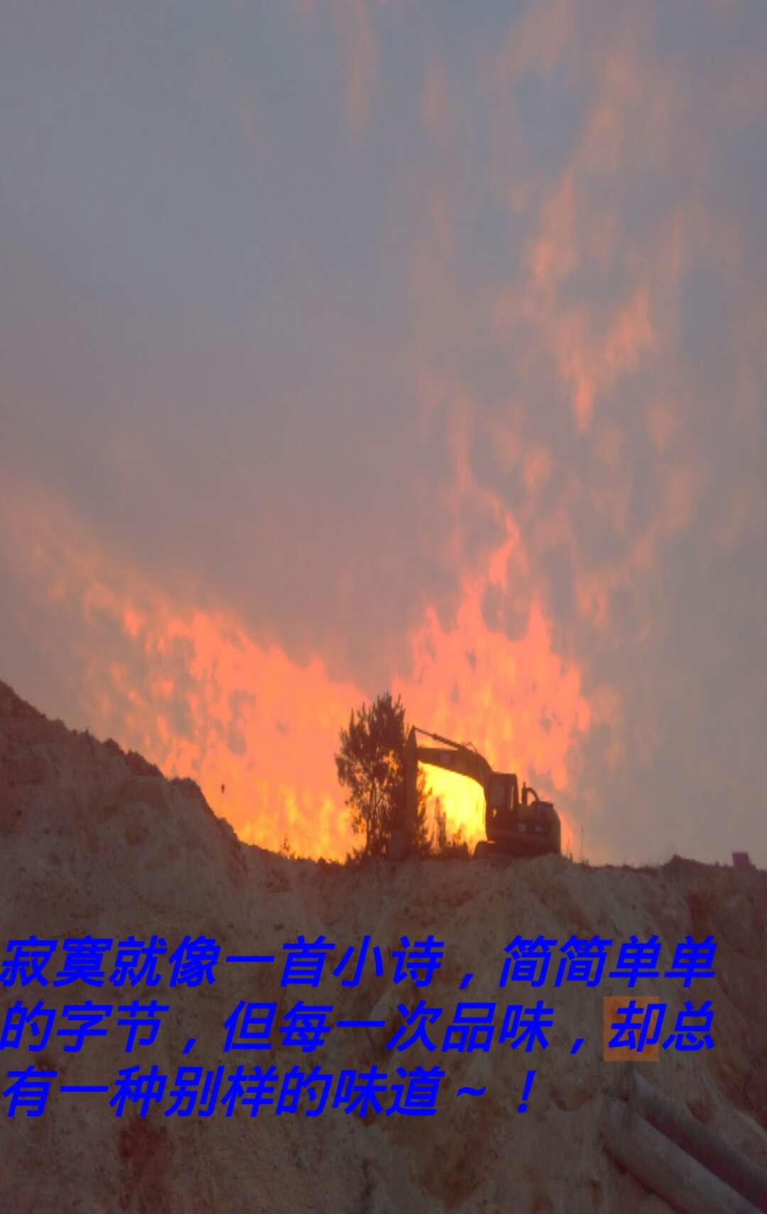 挖机之歌封面