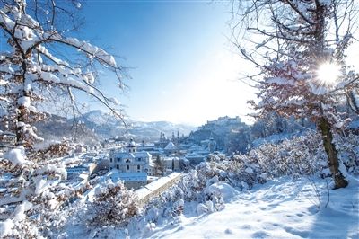 雪中深情封面
