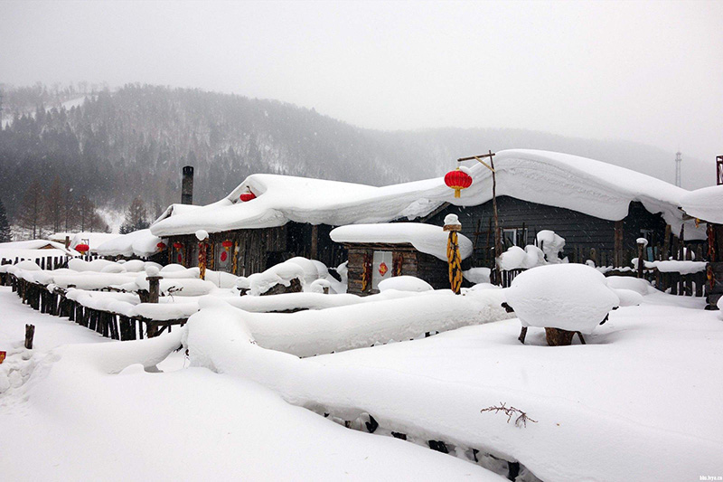 雪封面
