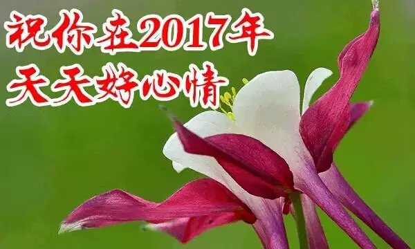 【清雅阁】元旦(诗歌)封面