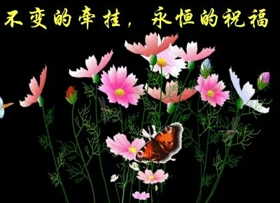 【清雅阁】遇见(散文诗)封面
