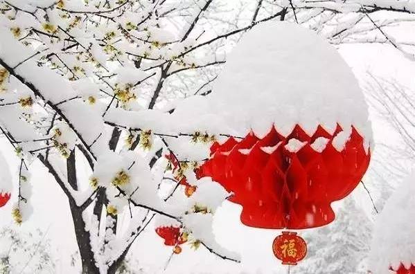 【清雅阁】春雪(诗歌)封面