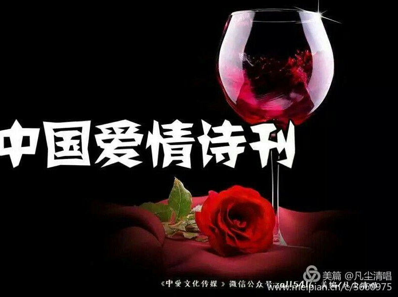 【清雅阁】诗在灵魂里闪烁(诗歌)封面