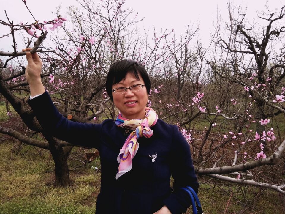 若云诗词封面