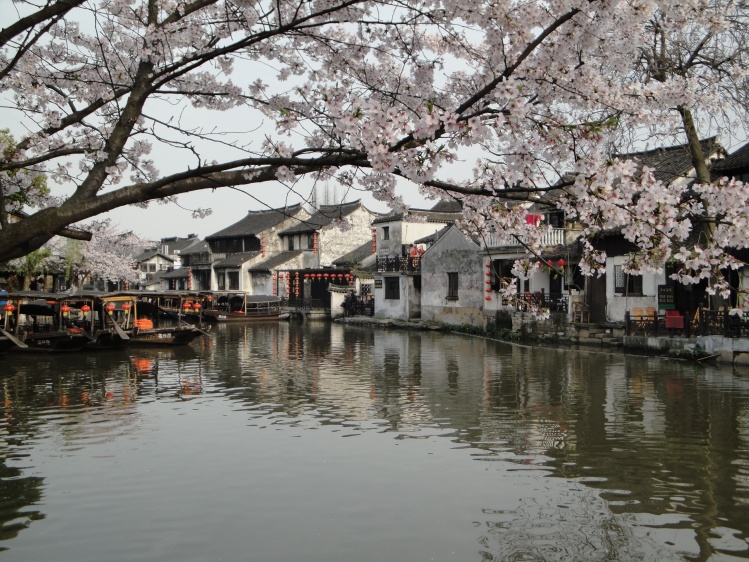 漫想封面