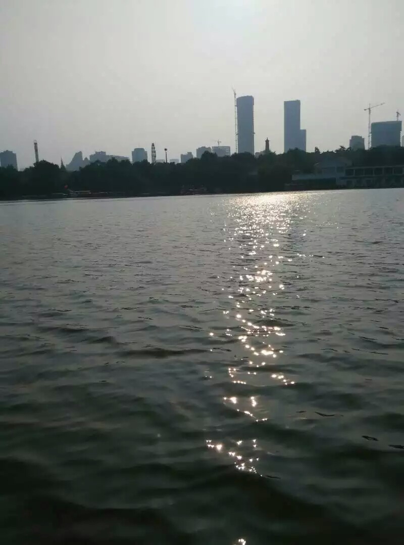 静夜抒怀封面