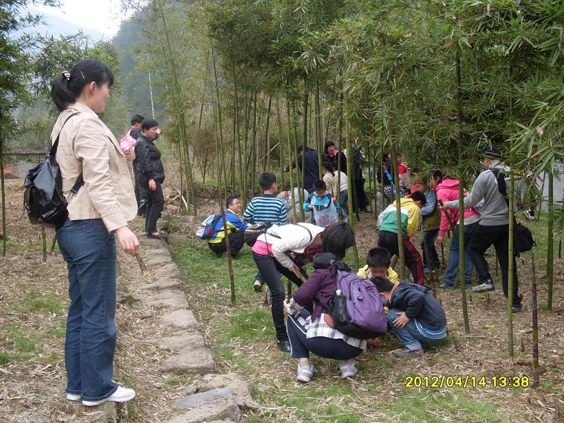 同题诗赛(39-1)《踏青》《寻梦》赏析【古诗词曲赋】封面