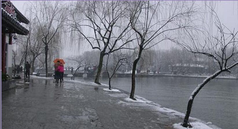 南国的雪封面
