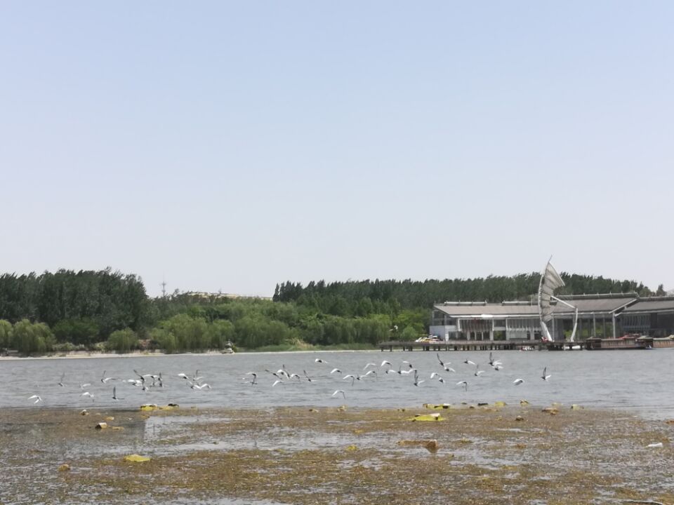 鹧鸪天&#8226;碧水连亭封面