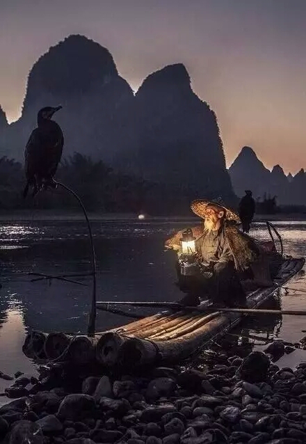 鹧鹄天封面
