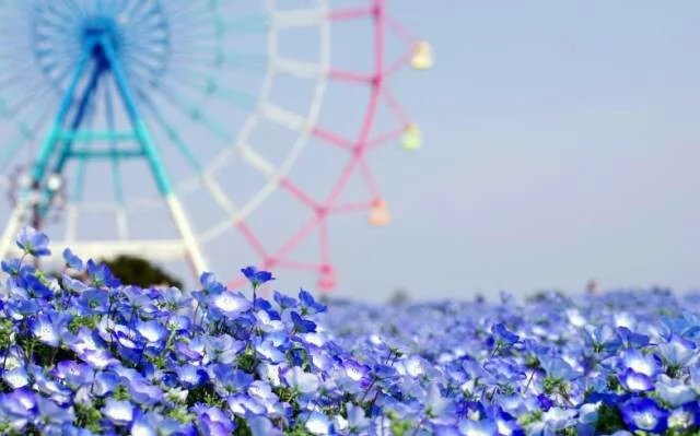 五月的初夏封面