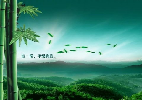 七月时光，竹林清幽封面