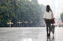 我愿是小雨封面