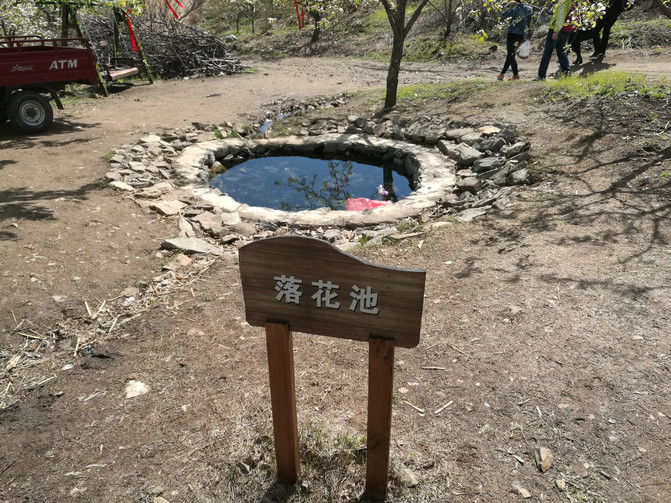 梨花盛开的季节封面