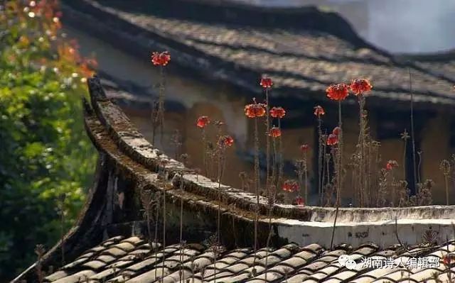 《心梦★絮语》（[长篇随笔抒情系列] “前言”之1篇）封面