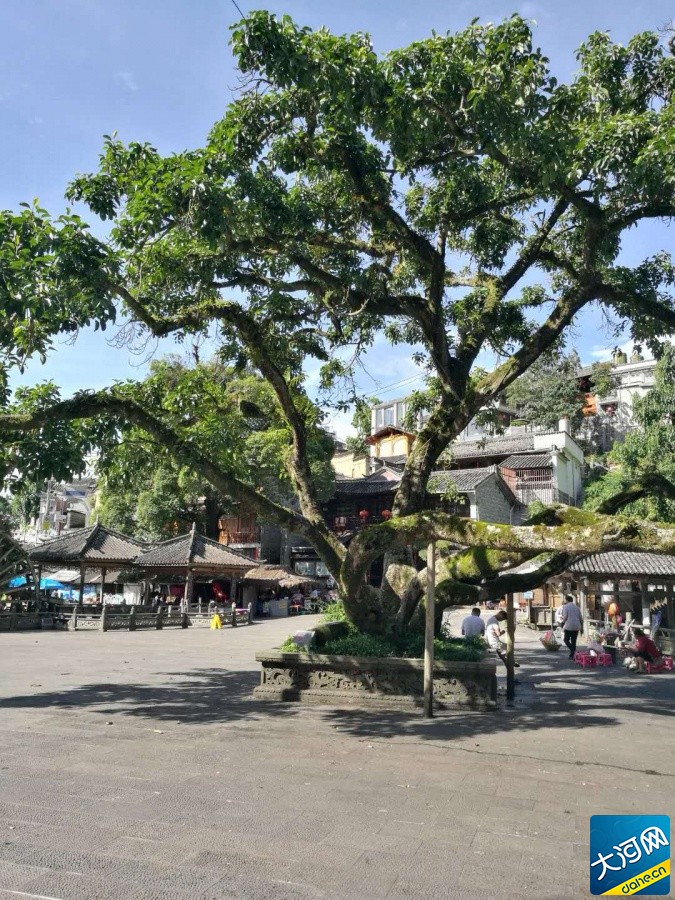 【原创】“梦之旅奖·柳侯祠记”（散文随笔之三）封面
