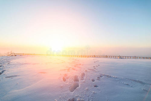 渔家傲 雪封面