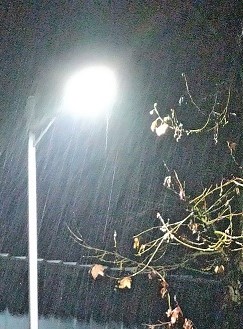 春雨寒～业务生涯封面