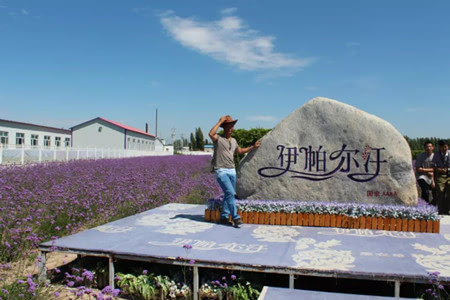 细节精准服务是打造优越的经商环境夯实实现目标根基·封面