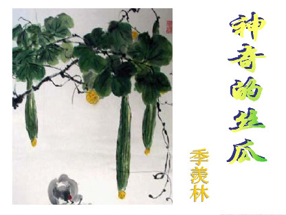大树与小草，菜花与牡丹封面