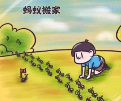 生产企业如何做好现场观察：走近点、看细点、问清点封面