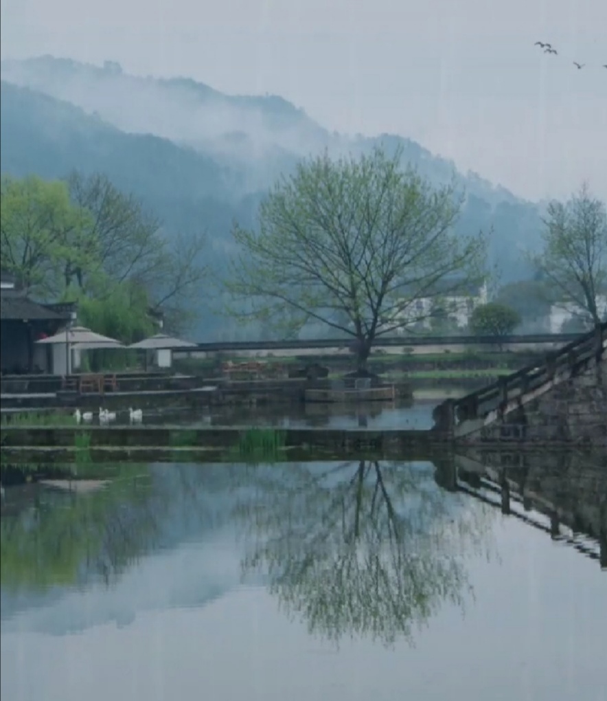 【清雅阁】又是一年清明节封面