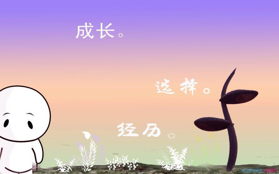 看向人生封面