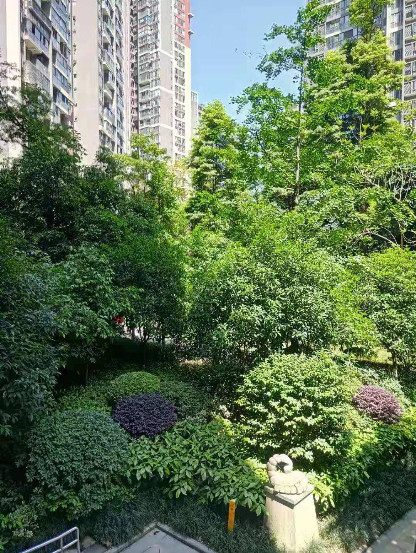 小区即景封面