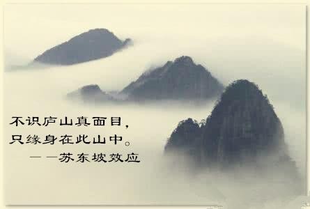 苏东坡效应--人贵有自知之明封面